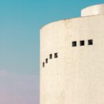 Stop The Slaughterhouse on CSU’s Campus